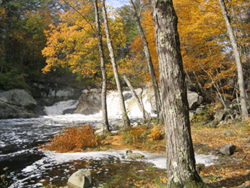 Hiking trail on the Isinglas River