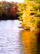 Photo of the river near my house in Autumn